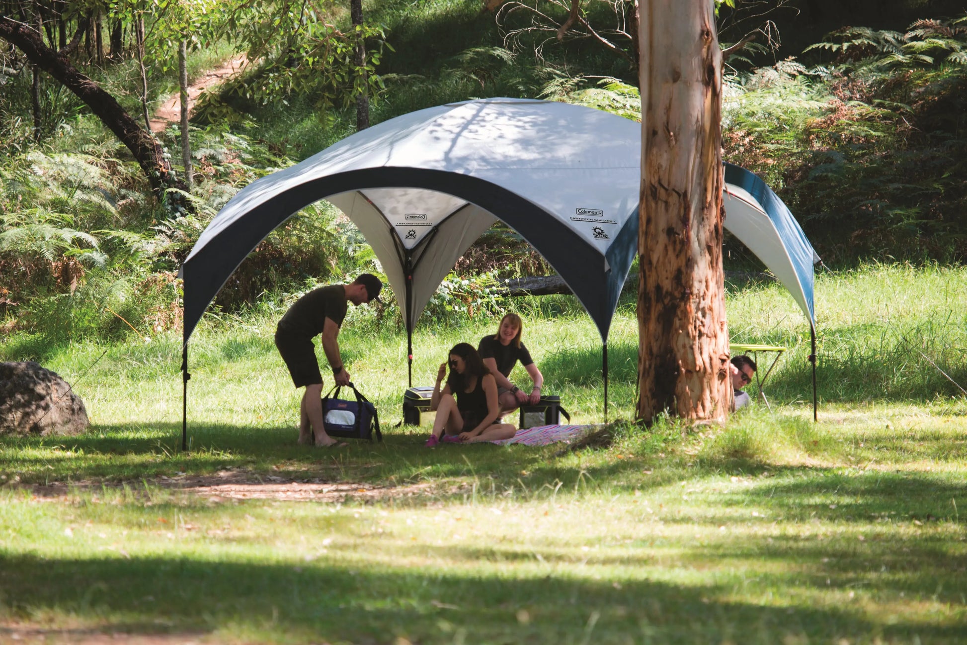 FastPitch Shelter XL 4.5 x 4.5m