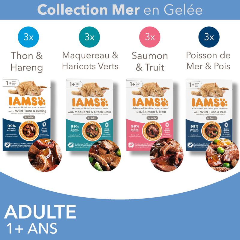 IAMS Delights Adult en gelée 12 x 85 g