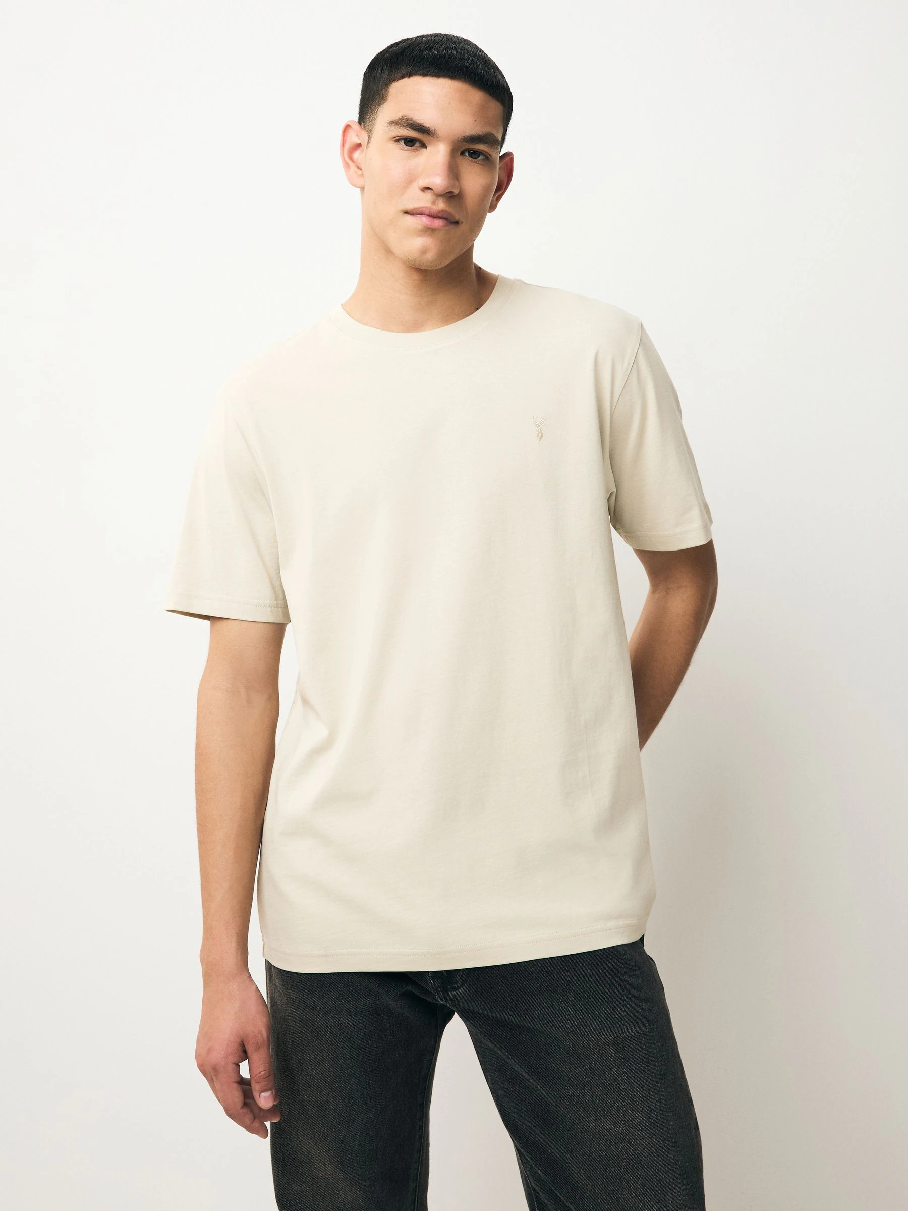Grijs/roze/ecru/groen - Normale Pasvorm - Verpakking met 4 T-shirts
