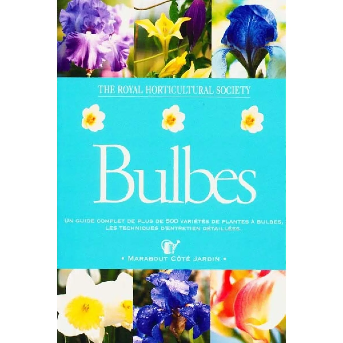 Bulbes · Occasion