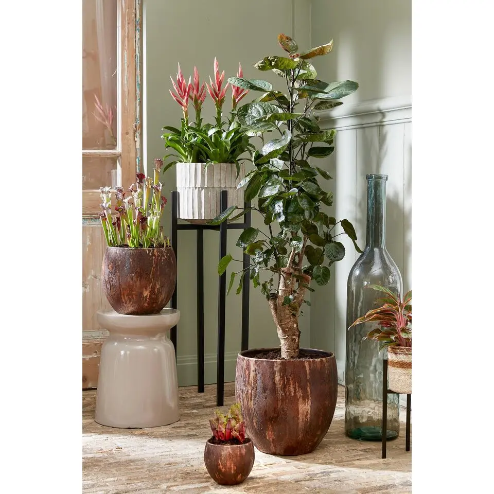 Mica Decorations Ascot Plantenstandaard L37,5 x B37,5 x H95 cm Zwart