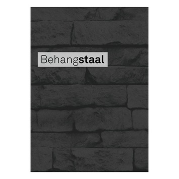 Behangstaal vliesbehang odyssee zwart (dessin 101344)