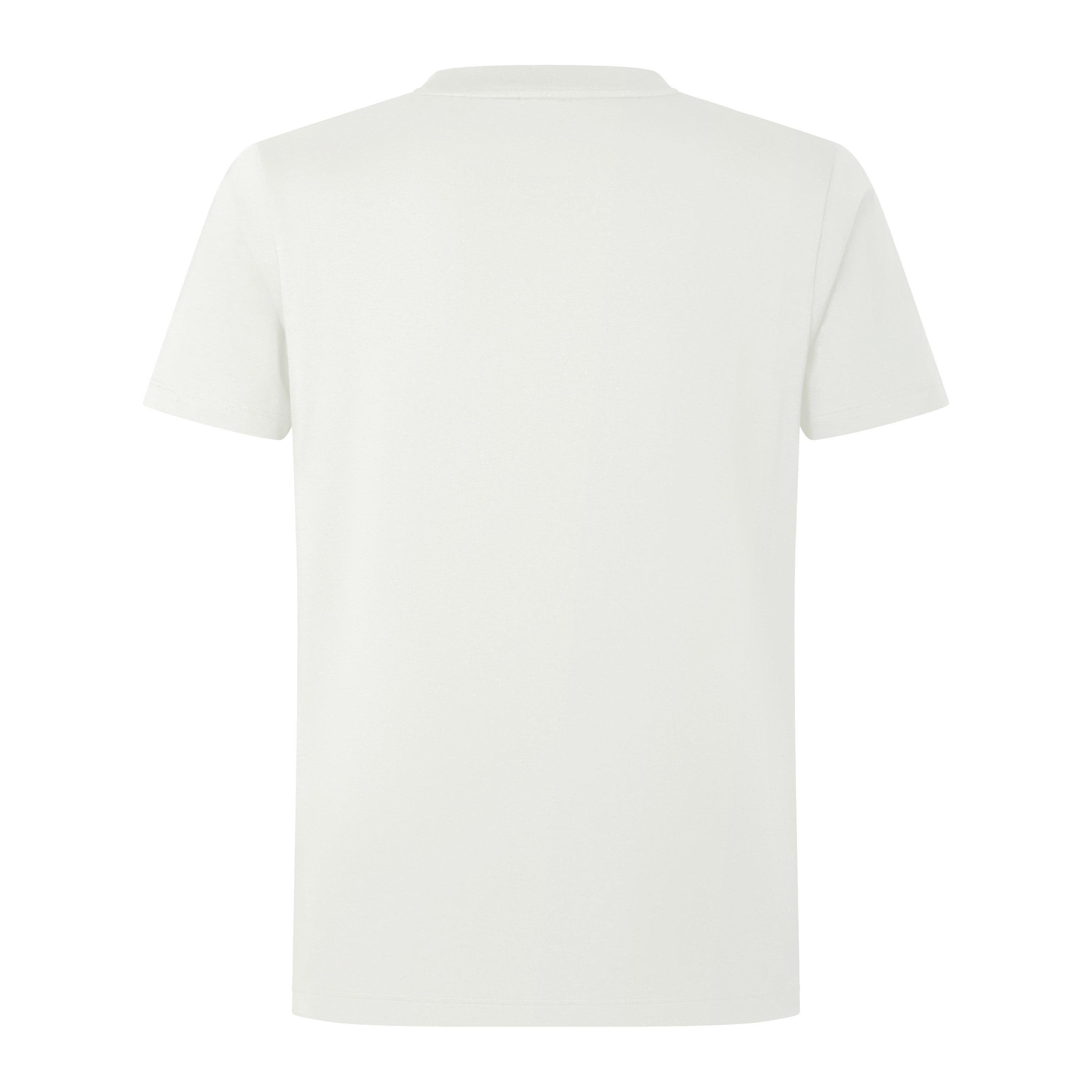 Canterbury British and Irish Lions T Shirt 2024 Adults