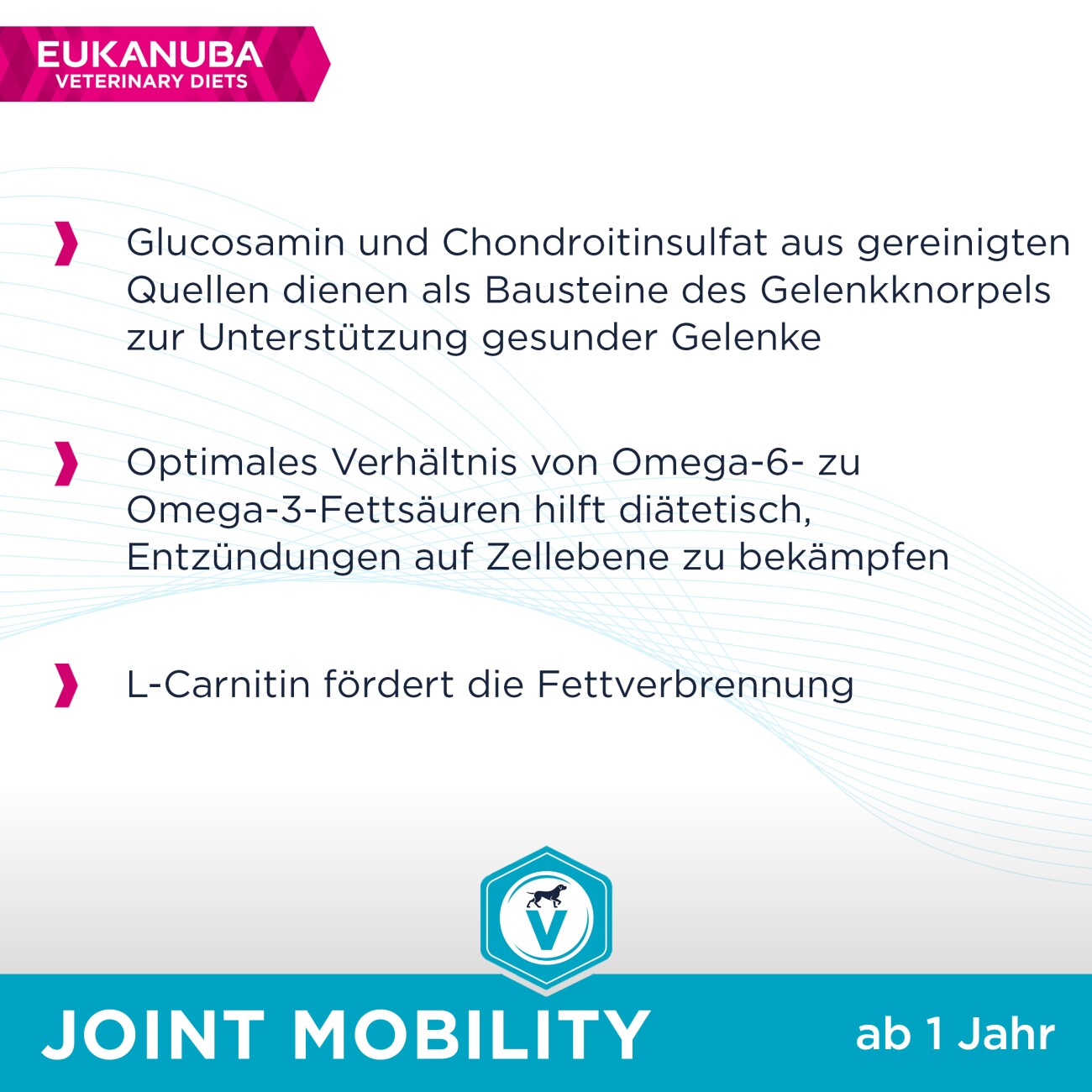 EUKANUBA Veterinary Diet Trockenfutter Hund Joint Mobility Adult 12 kg