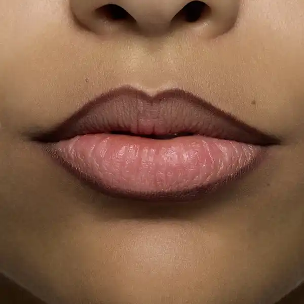 8h matte comfort lipliner 11 Chestnut Perfection
