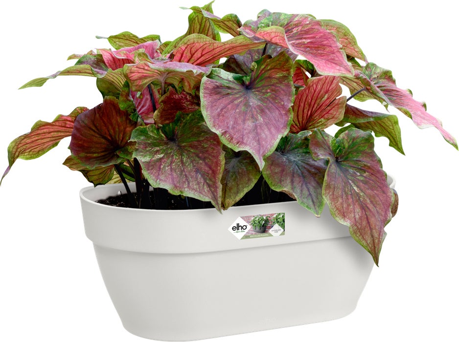 Elho muur plantenbak Vibia Campana wit 35 x 16,2 x 14,8 cm