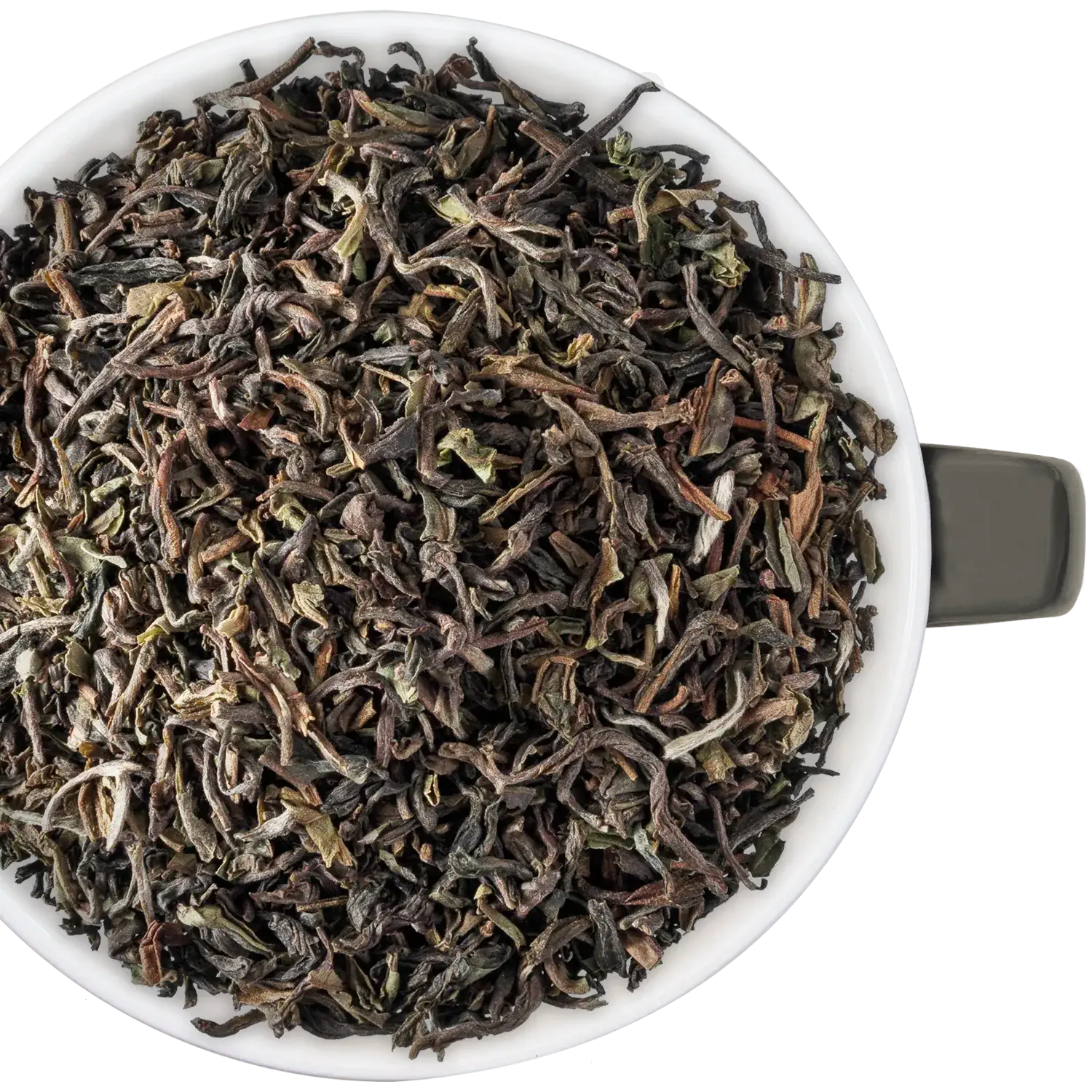 Darjeeling Lingia BIO, 10er Pack
