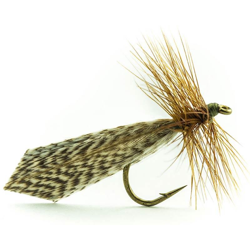 Mouche Devaux Sedge Tricoptheres 426 Bl