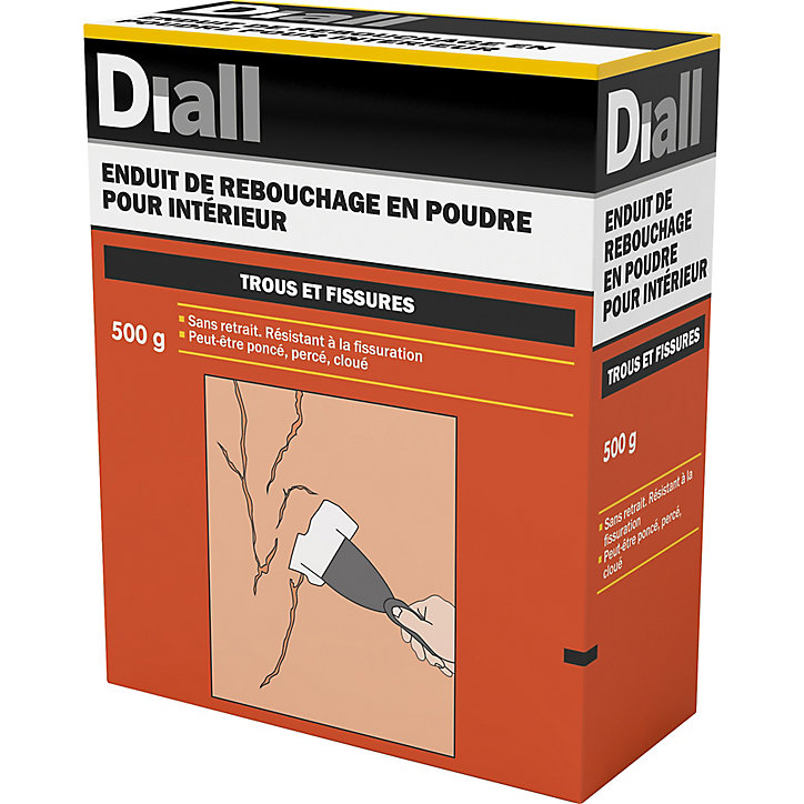 Enduit de rebouchage en poudre Diall 500g