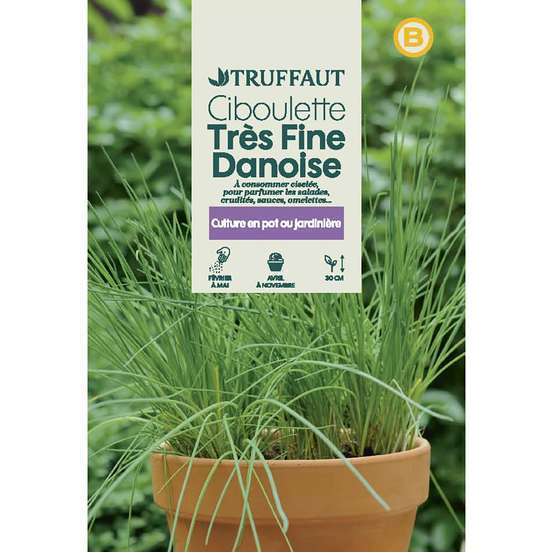 Graines de ciboulette en sachet