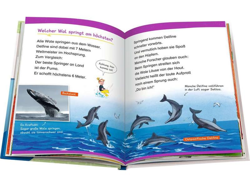 Ravensburger Kinder-Sachbuch WWW Erstleser: Wale und Delfin Spielerisch lesen lernen