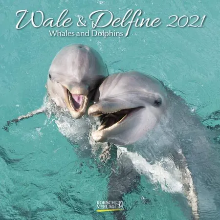 Korsch Verlag Wale und Delfine 2021