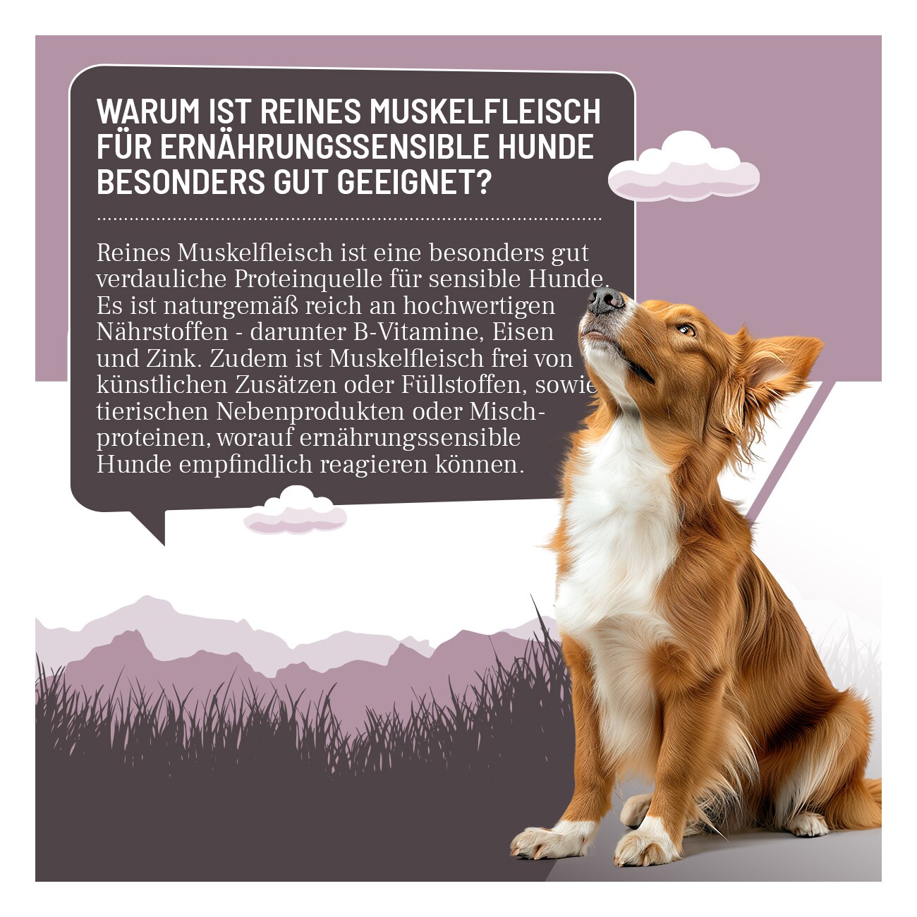 REAVET Hunde Nassfutter - Ente PUR 6x400 g