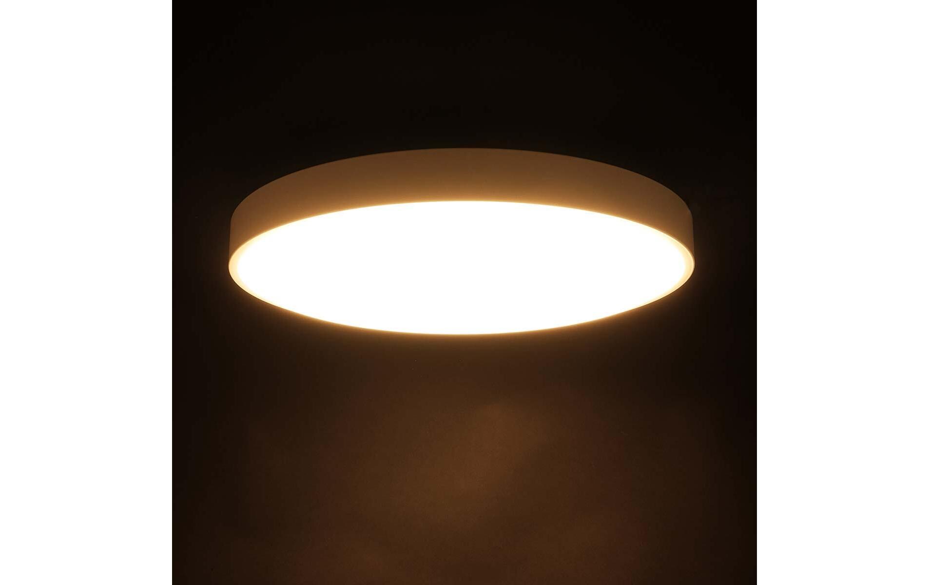 Deckenleuchte C2001 LED 450, Ø 45.5 cm<br>Deckenaufbauleuchte