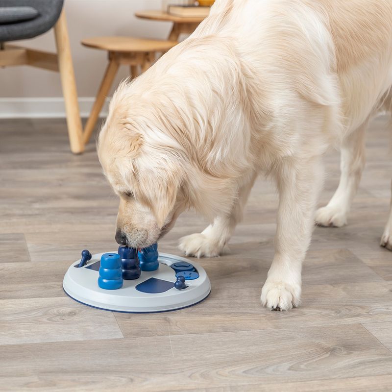 Jouet Trixie Dog Activity Flip Board