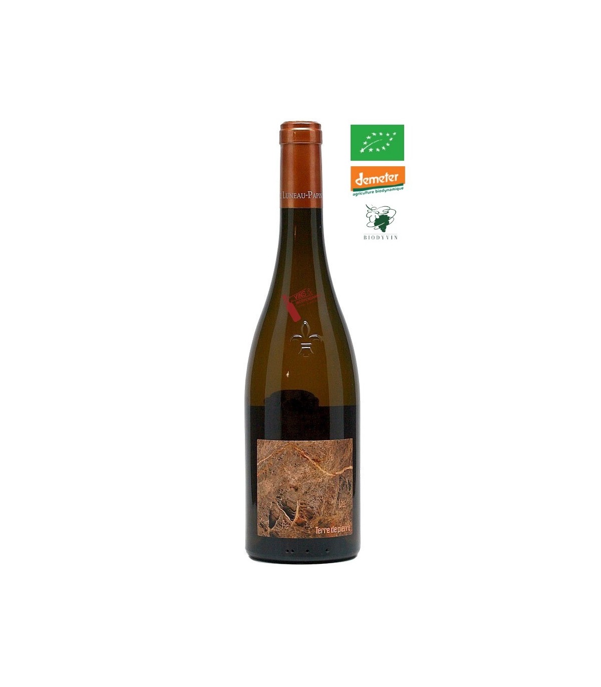 Domaine Pierre Luneau-Papin Muscadet Sèvre et Maine sur Lie