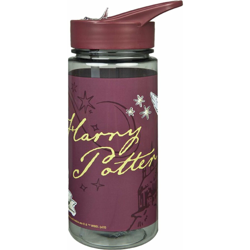 Harry Potter Drinkfles 500 ml