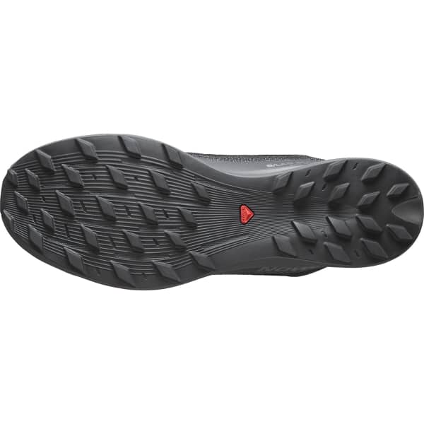 Chaussure trail SALOMON S/LAB PULSAR 2 SG QUIET SHADE/MAGNET/BLACK
