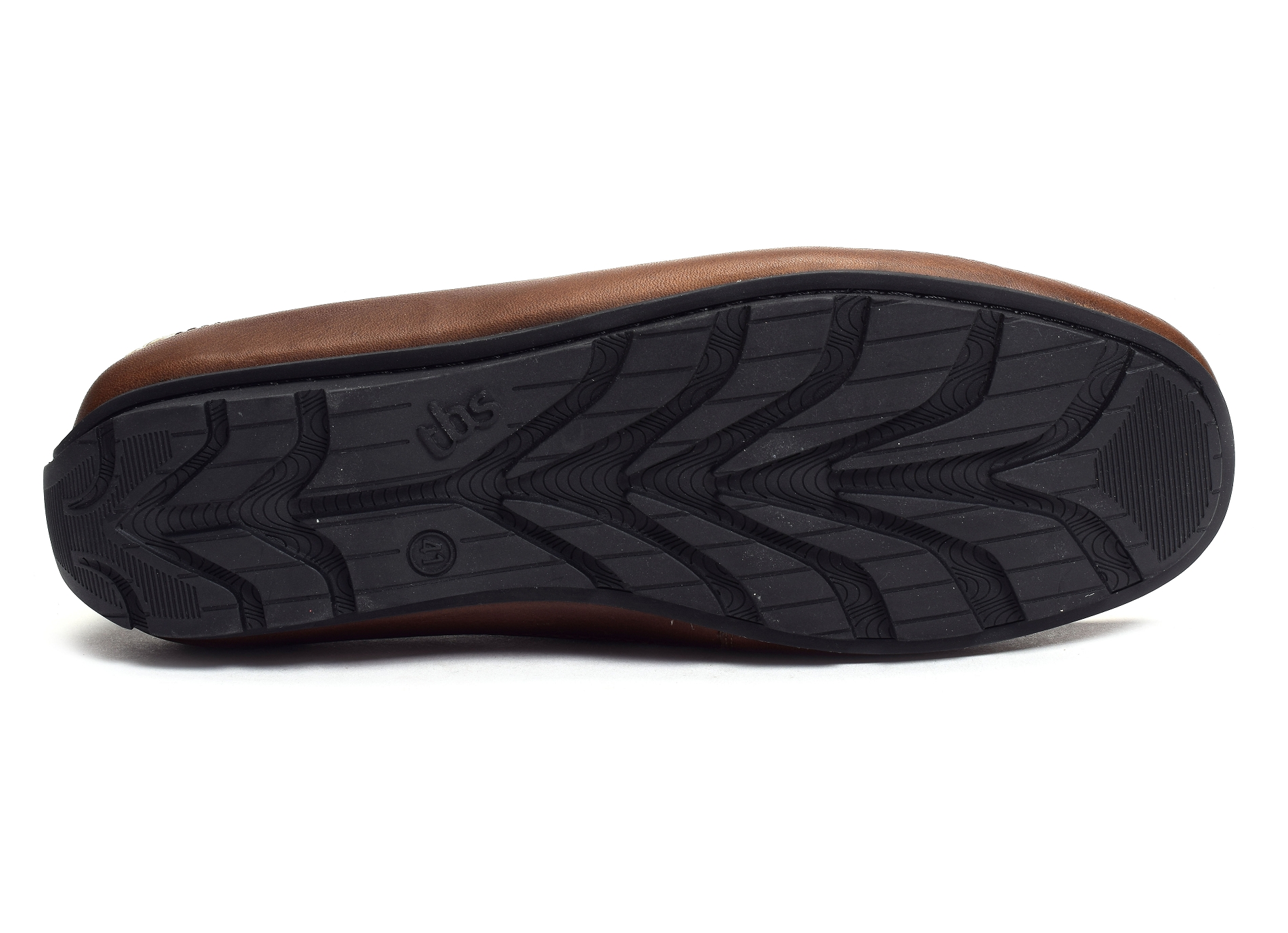 Sauric marron