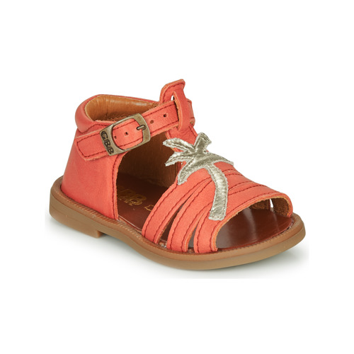 GBB - ARAGA - Corail