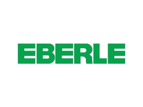 Eberle 111 1102 51 100 RTR-E 6124 Rumtermostat Overflademonteret Døgnur Opvarmning inkl. temperatursænkning* 1 stk