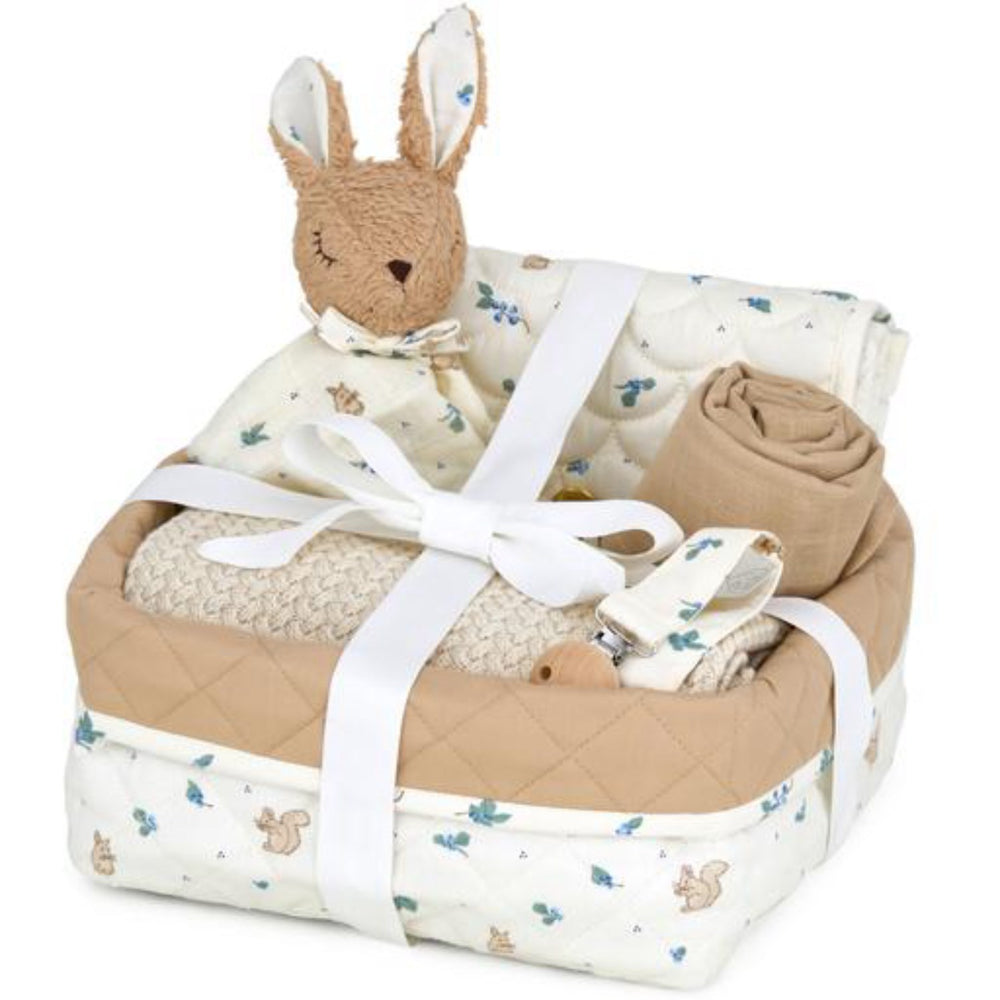 Køb Cam Cam Copenhagen Blueberries Babyshower Gavekurv