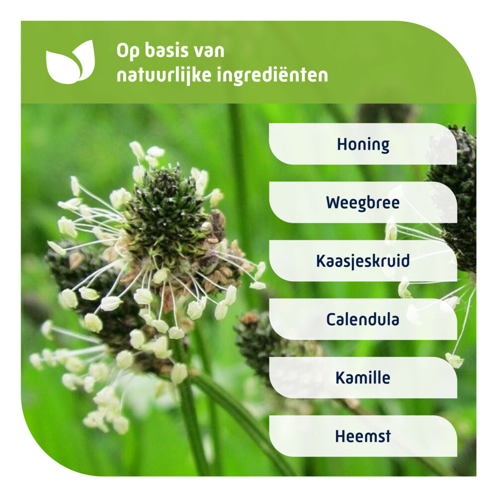 Natterman Nacht Voor Alle Hoest150 ml