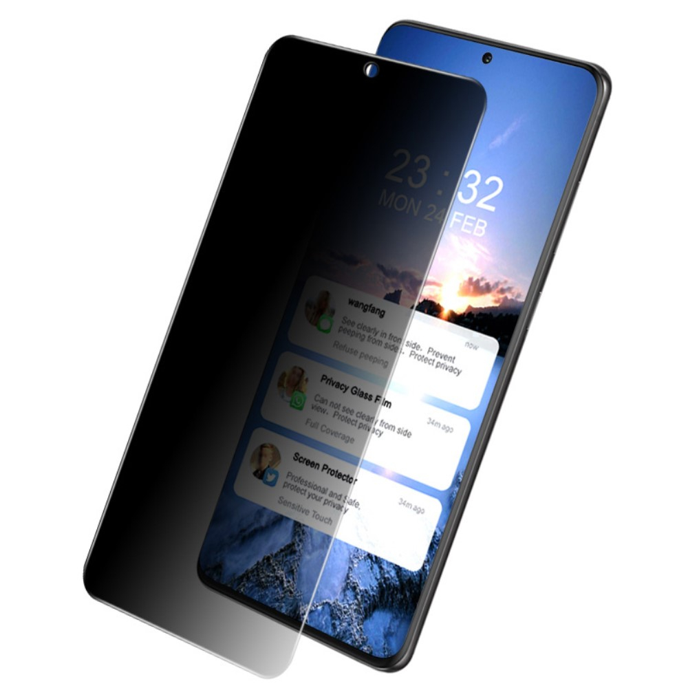 Samsung Galaxy S21 FE 5G Privacy Vollbild Panzer Glas Display
