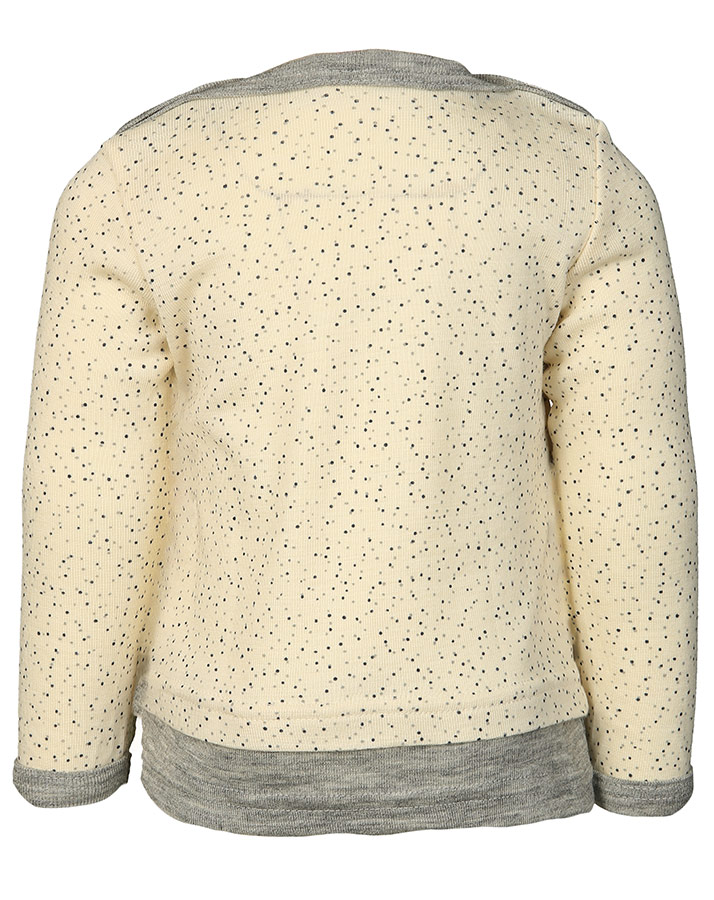 Langarmshirt MODERN NATURE mit Seide in beige/hellgrau
