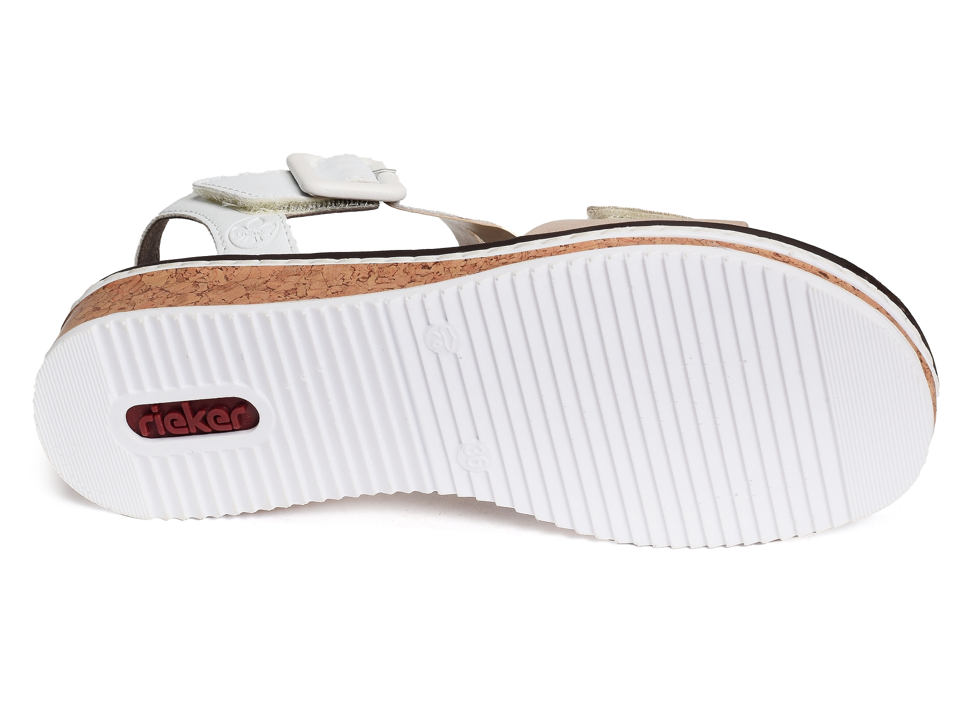 V3660 beige blanc