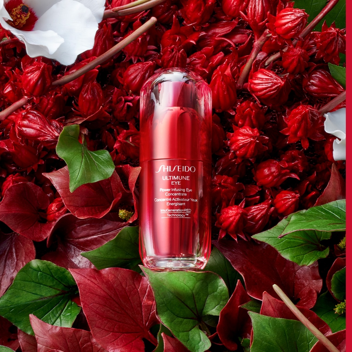 SHISEIDO Ultimune Concentré Activateur Yeux Energisant 3.0