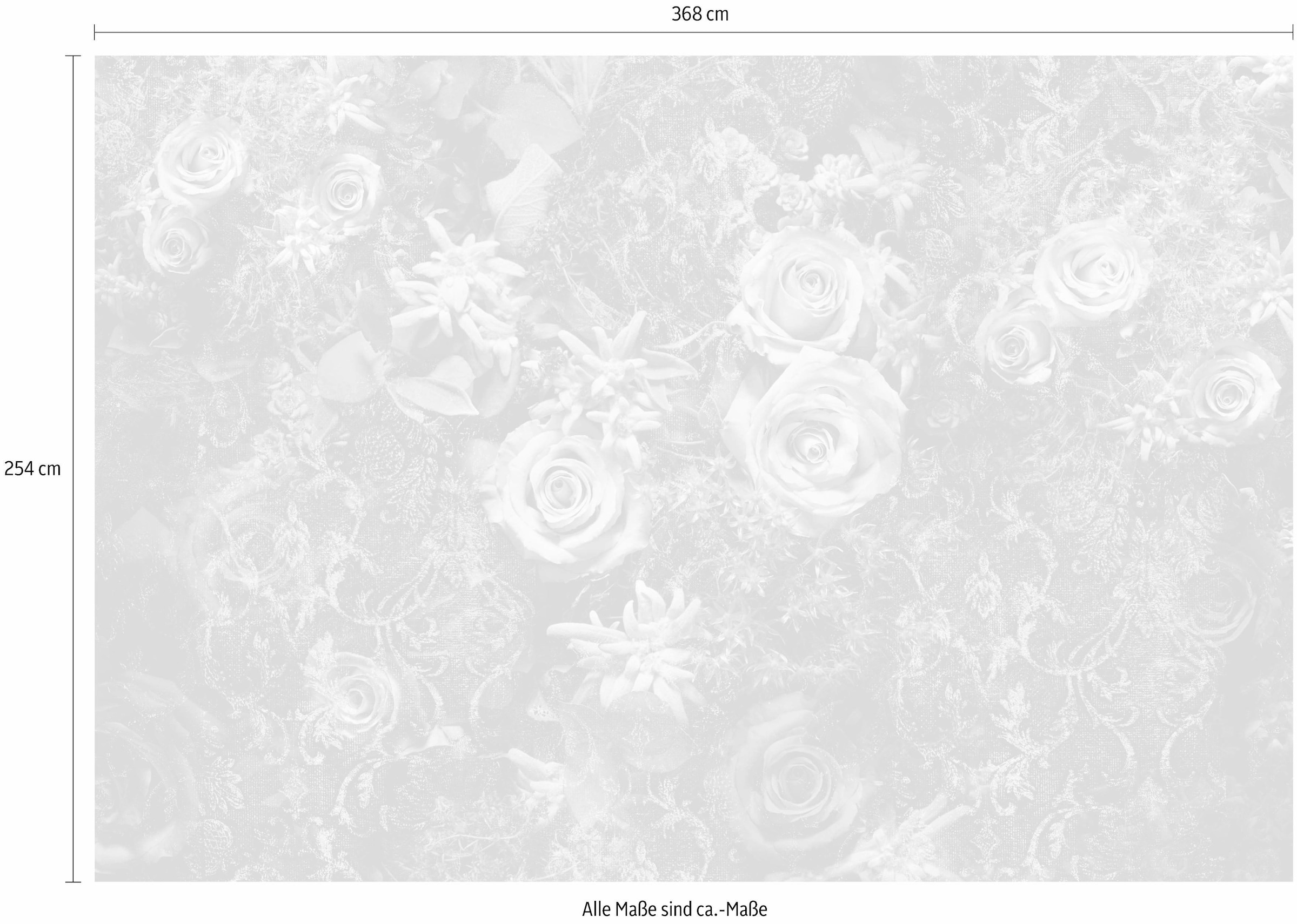 Komar Fototapete »Velvet - Grösse 368 x 254 cm« bedruckt glatt Wohnzimmer, Schlafzimmer