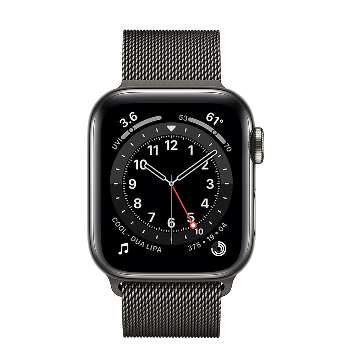 Apple Watch Series 6 Stainless steel 40 mm (2020)