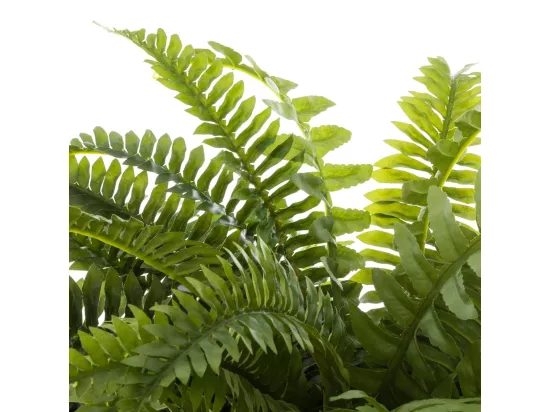 Plante artificielle Fougères en pot H 55 cm