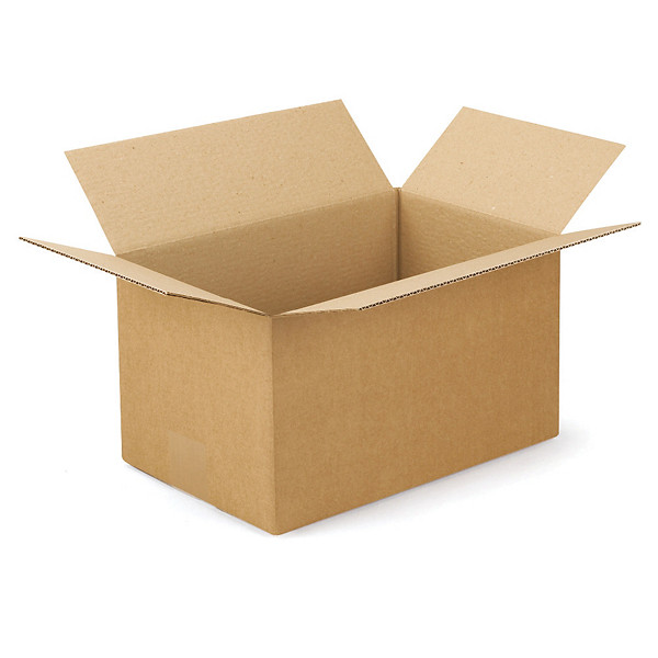 Caisse carton brune simple cannelure RAJA 30x20x17 cm, lot de 25