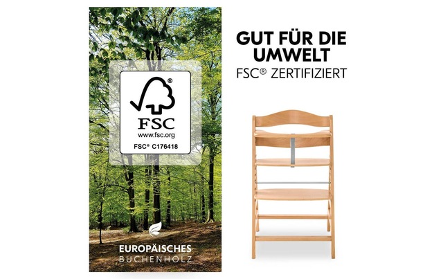 Hauck Hochstuhl »Alpha Newborn Set Pre Nature Grey« ()
