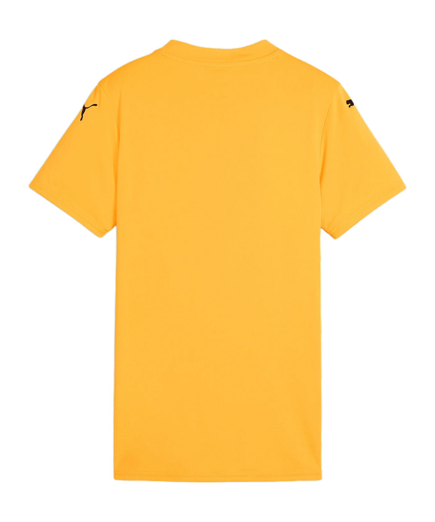 PUMA teamGLORY Trikot Damen Orange Schwarz F61