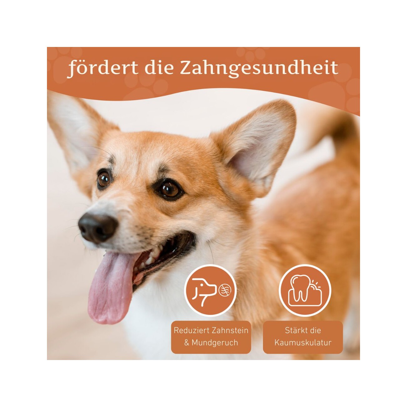 Wildfang ® Kauwurzel aus Baumheide 1 S