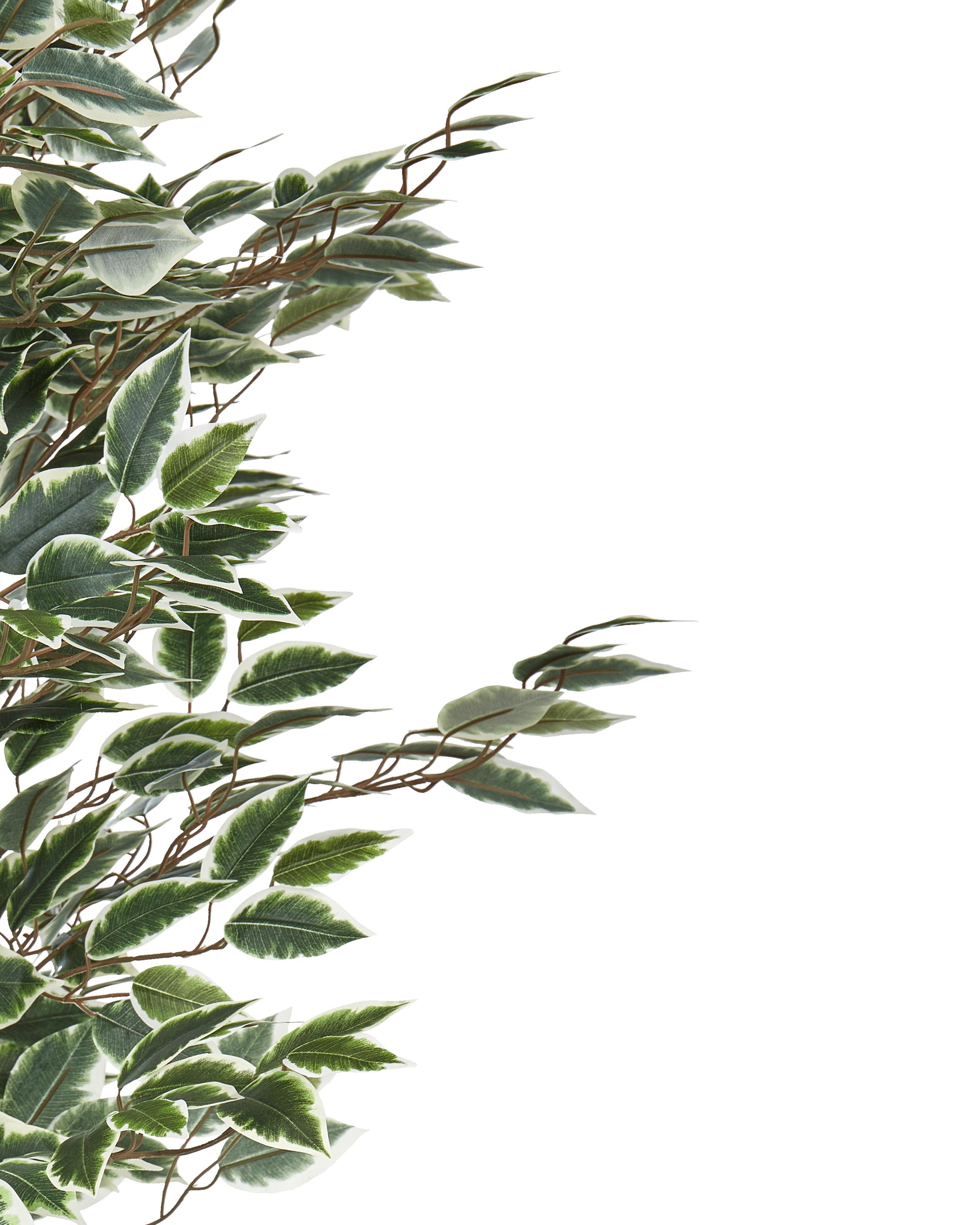 Kunstplant FICUS 167 cm Groen
