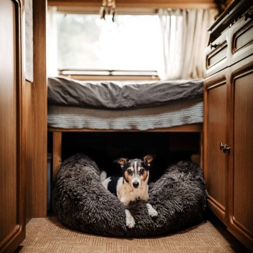 Cama macia para animais de estimação, cinza escuro
