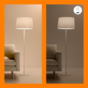 WiZ Connected LED peer E27 13 mat kleurlicht dimbaar