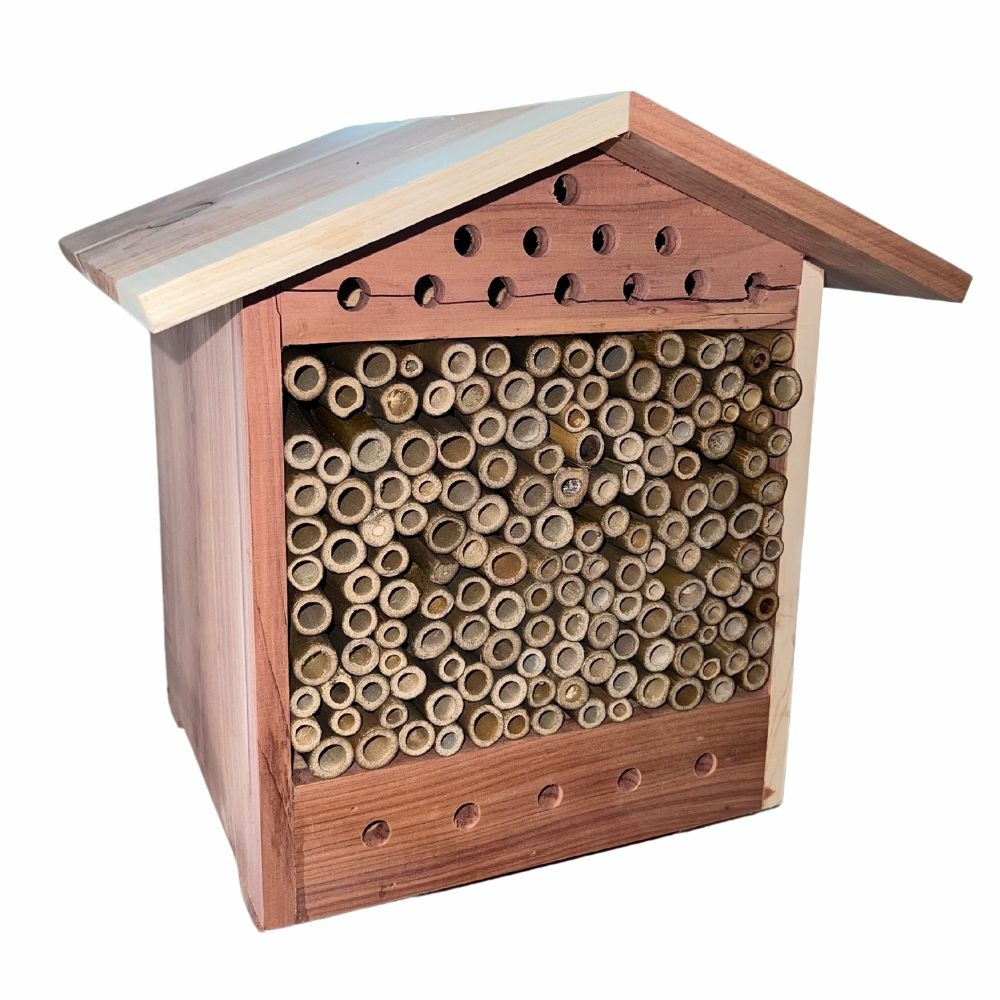 Maison des abeilles en red cedar
