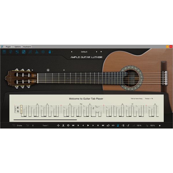 Ample Sound Ample Guitar L