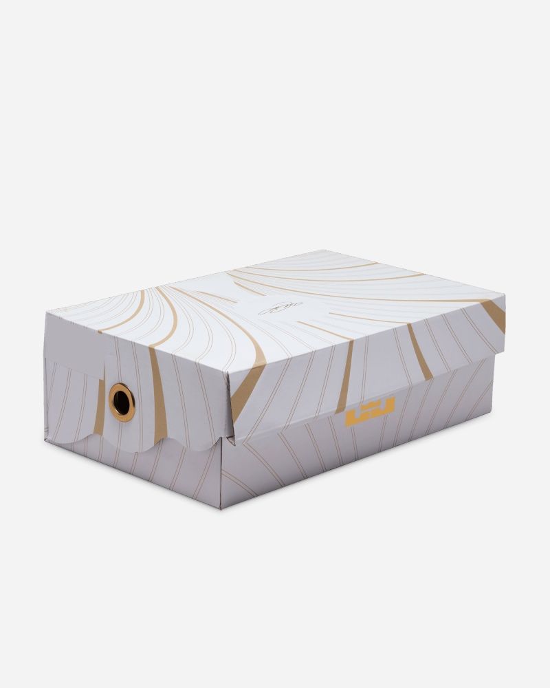 Chaussures de basket Nike LeBron XXI pour homme