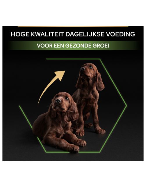 Pro Plan Dog Puppy Large Breed Athletic Kip - Hondenvoer