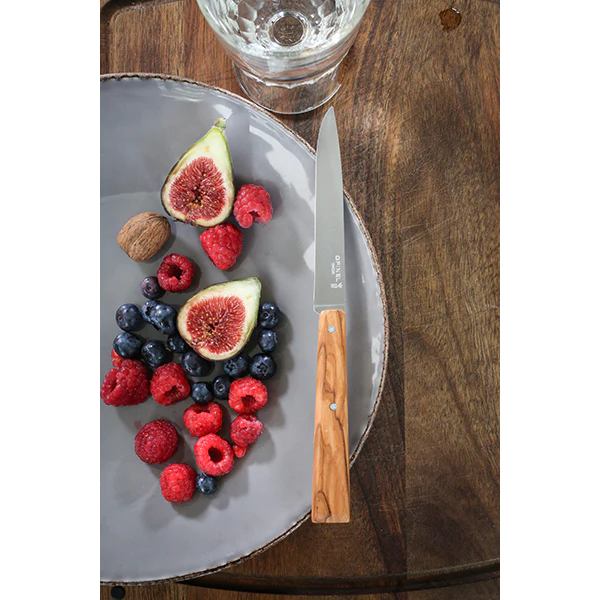 Coffret 4 couteaux de table Esprit Sud Opinel