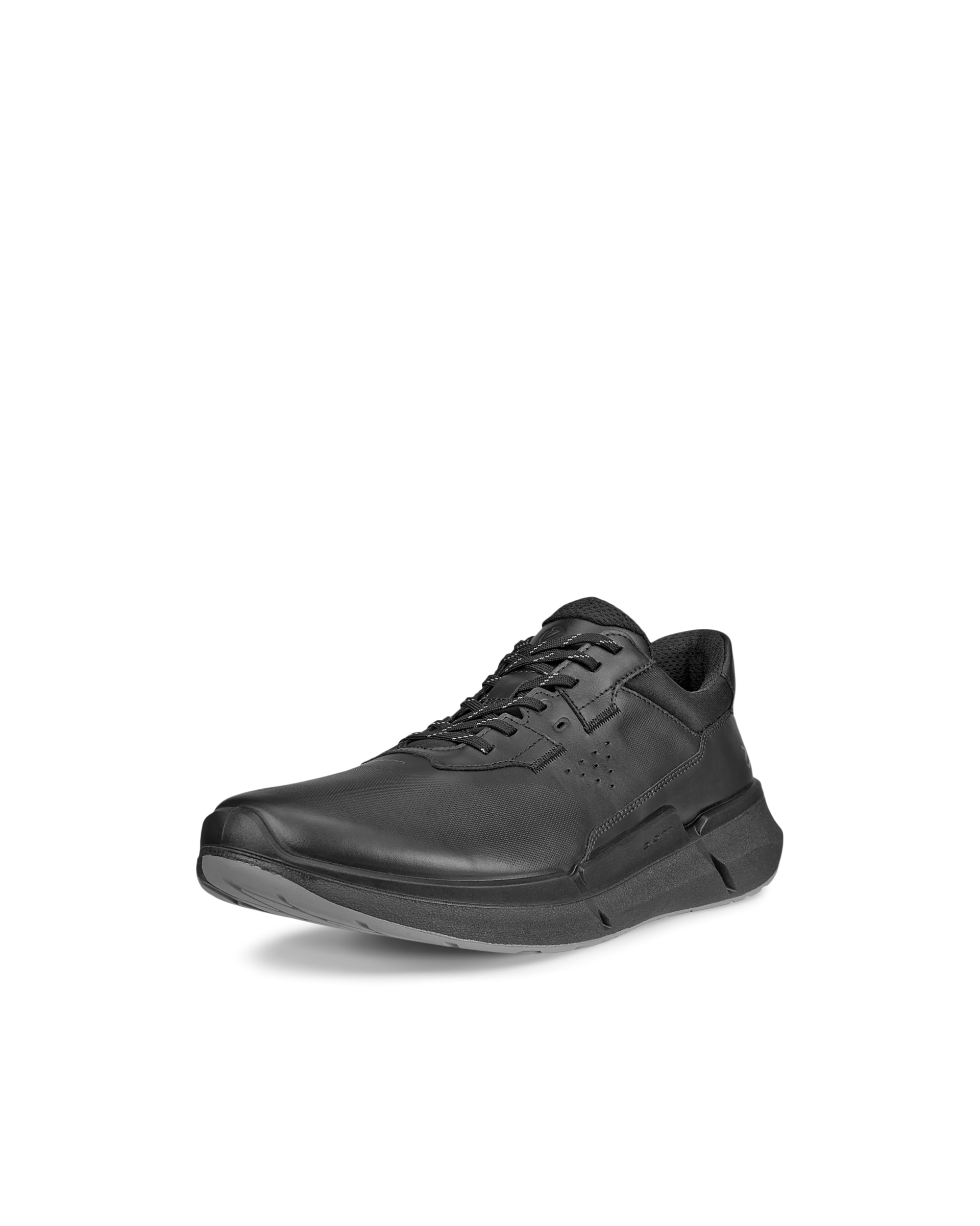 ECCO BIOM 2.2 M Herren Ledersneaker Schwarz