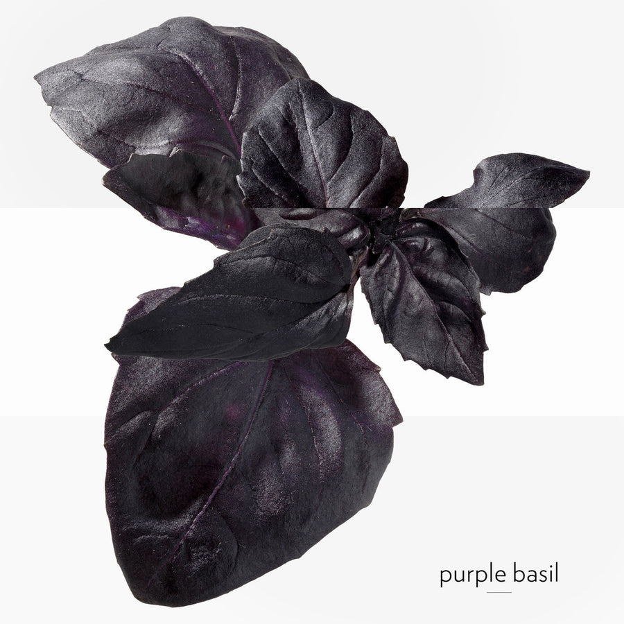 Eau de Basilic Pourpre, Eau de Cologne