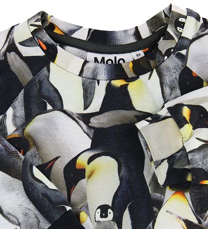 Molo Sweatshirt - Tag - Pinguine in Hülle und Fülle