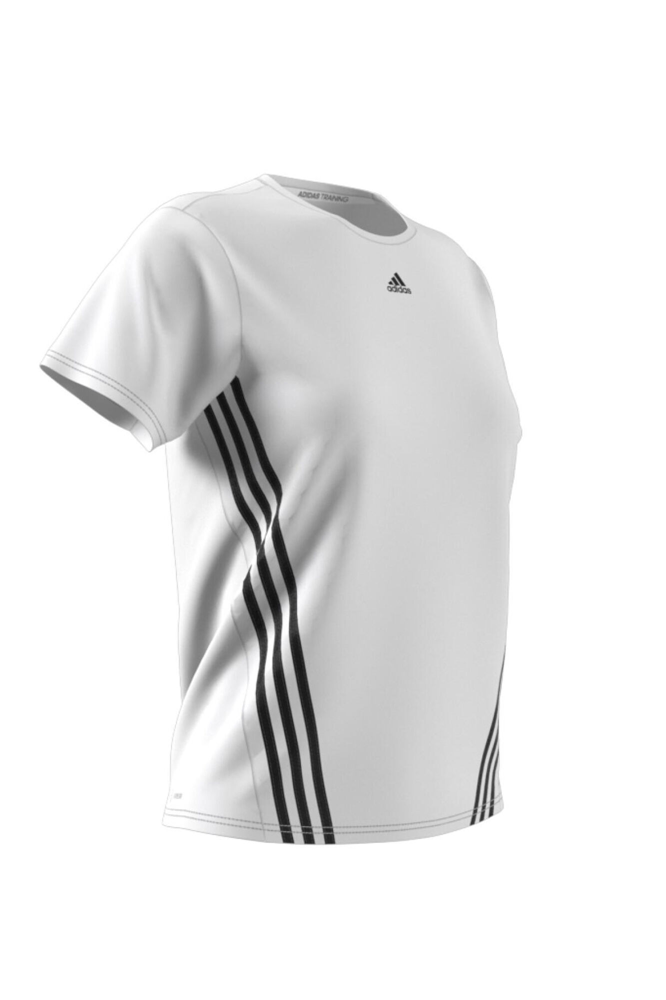 Camiseta WTR ICNS